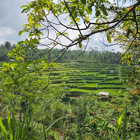 Hide And Seek Tetebatu Ngoại thất bức ảnh