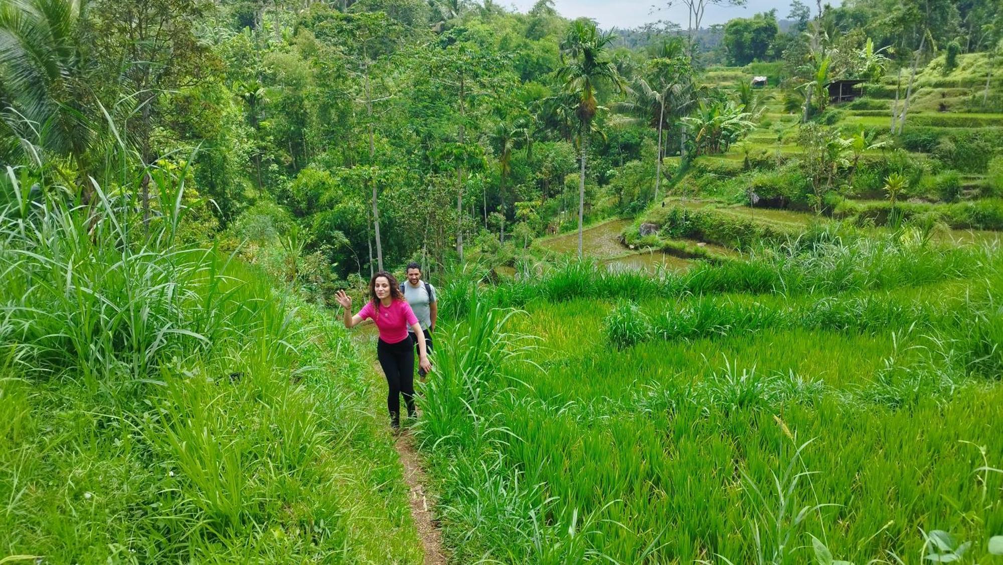 Hide And Seek Tetebatu Ngoại thất bức ảnh