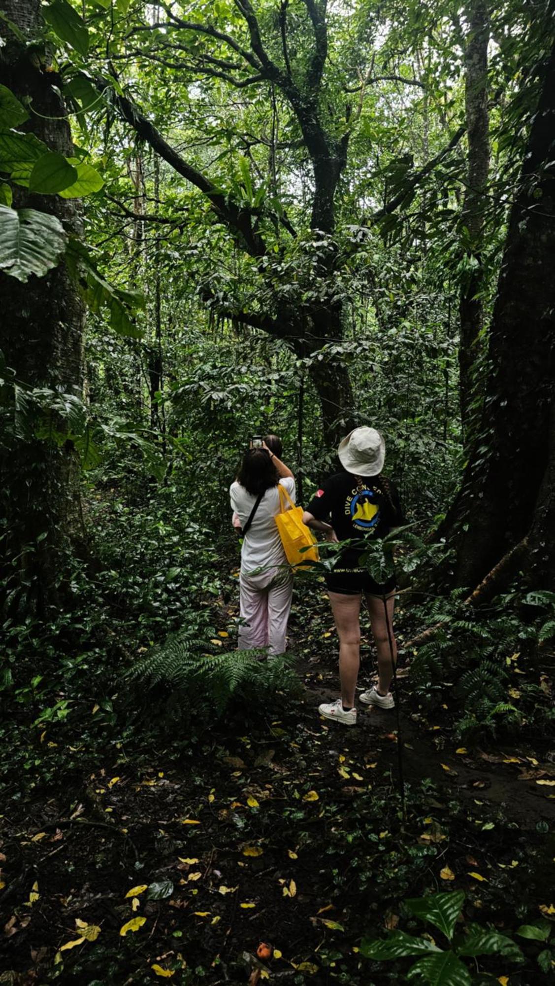 Hide And Seek Tetebatu Ngoại thất bức ảnh