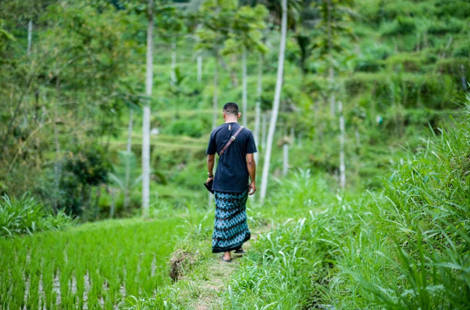 Hide And Seek Tetebatu Ngoại thất bức ảnh